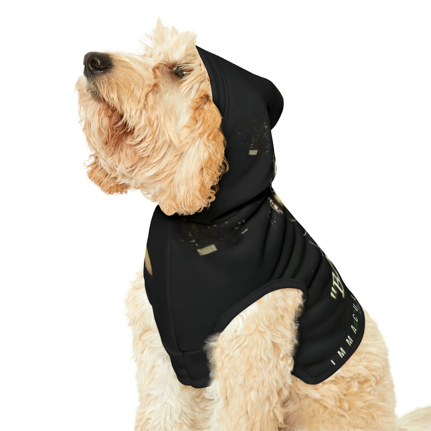 Mack D Bags Pet Hoodie