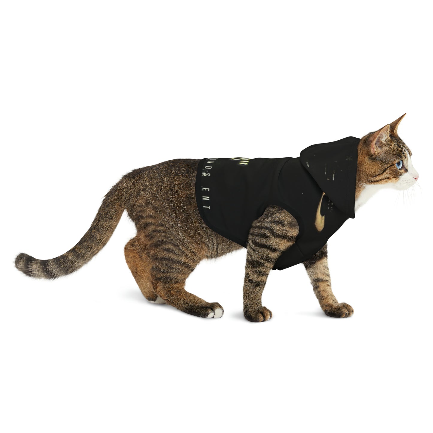 Mack D Bags Pet Hoodie