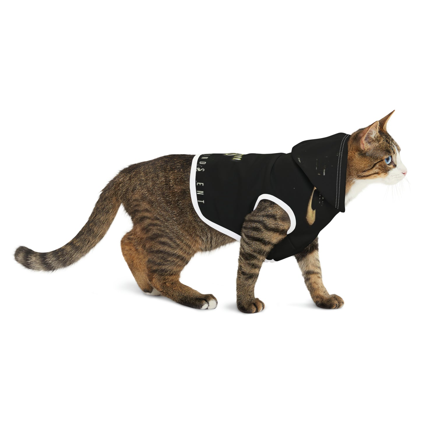 Mack D Bags Pet Hoodie