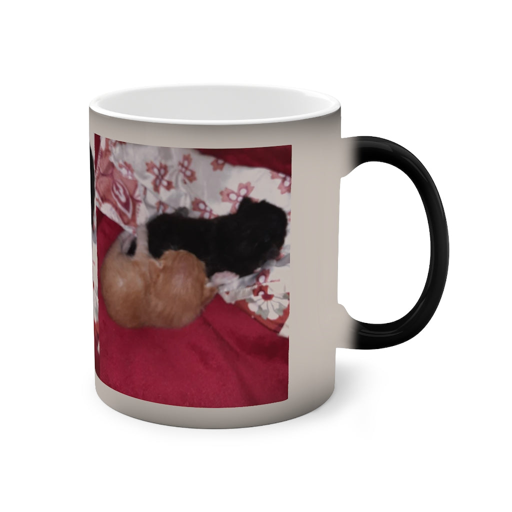 Sleeping Siblings Color-Changing Mug, 11oz