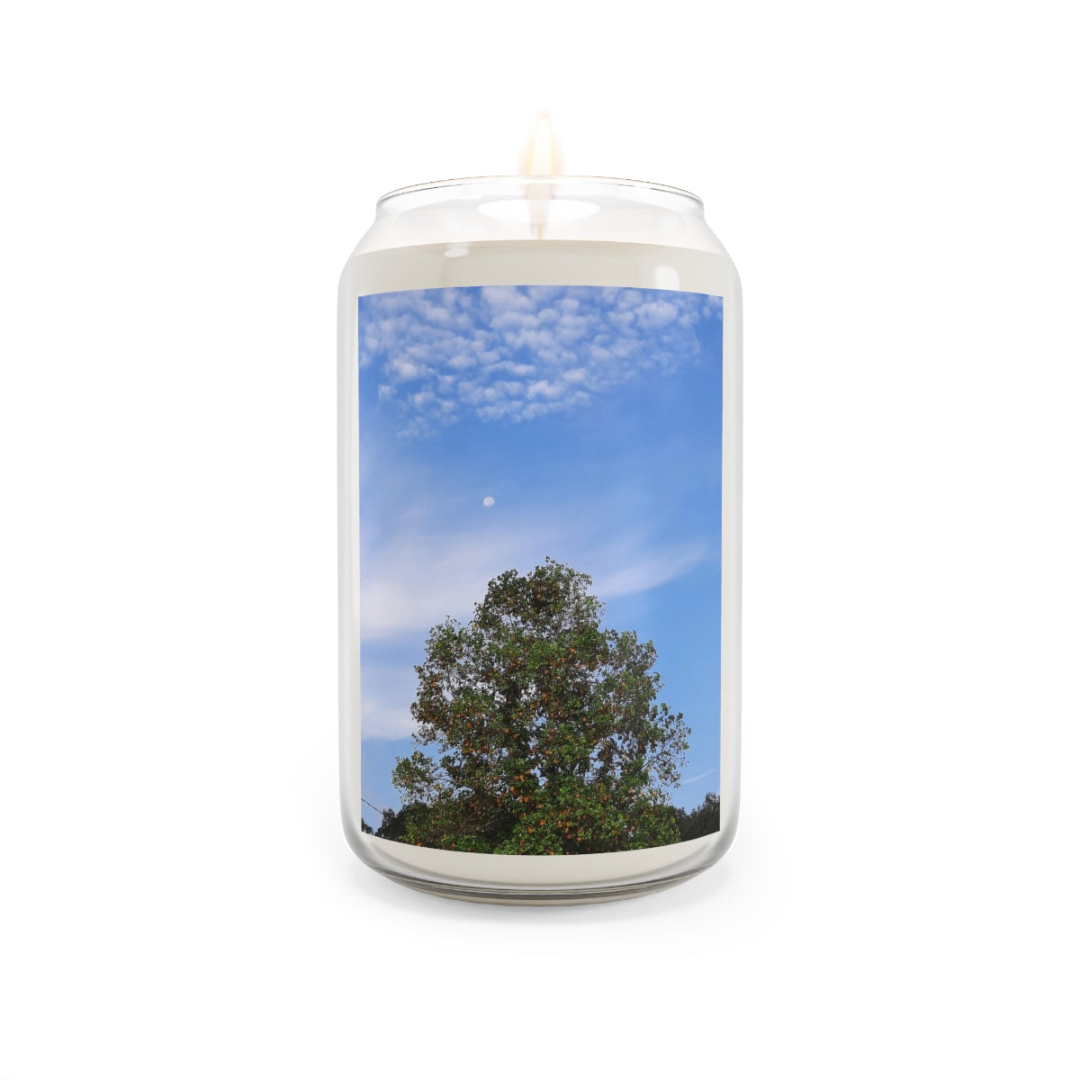 Moon in the Daylight Scented Candles, 13.75oz