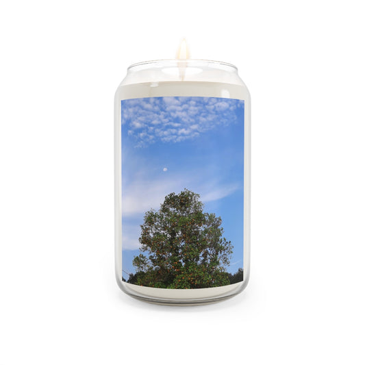 Moon in the Daylight Scented Candles, 13.75oz