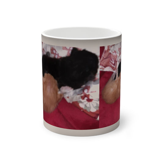 Sleeping Siblings Color-Changing Mug, 11oz